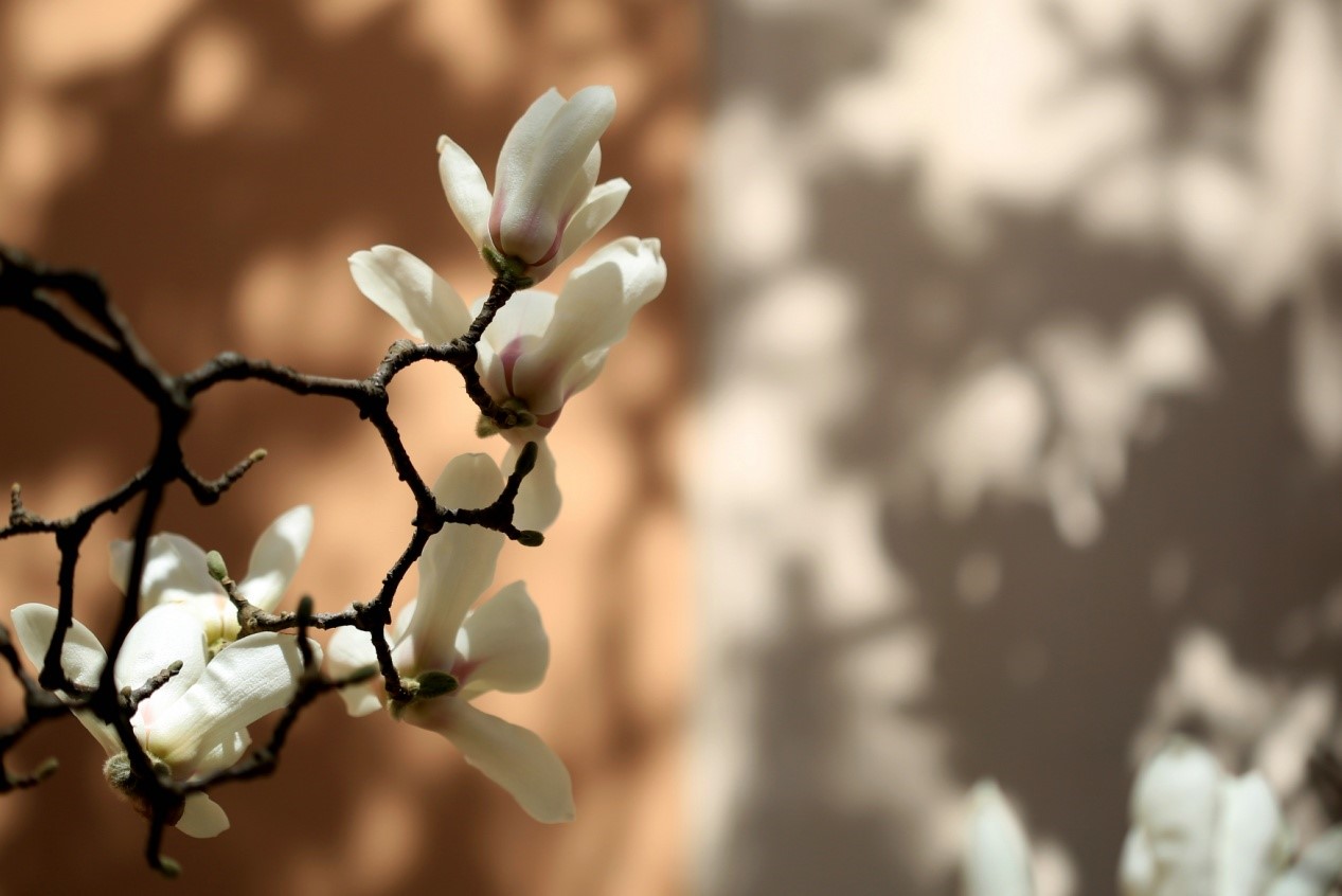 1625214691614448.jpg 5.jpg