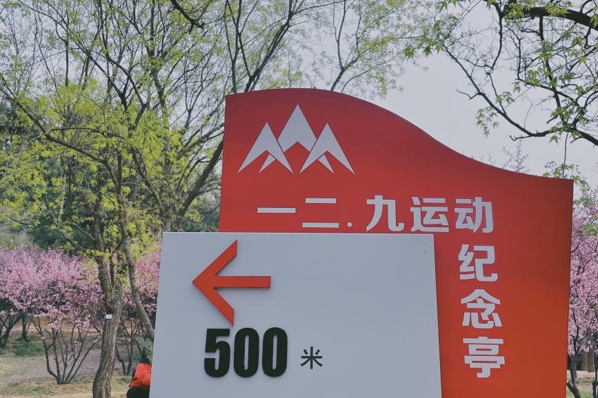 1618215453364043.jpg 1618215453364043.jpg